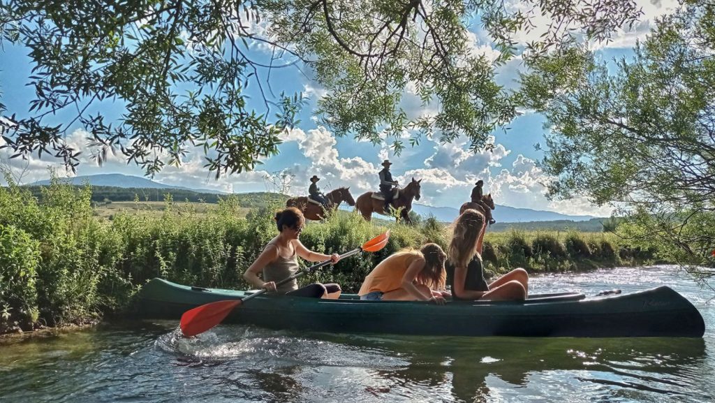 Canoing/Kayaking/Birdwatching on the Sturba River | Kanuing/Kajaking/Promatranje ptica na rijeci Sturbi